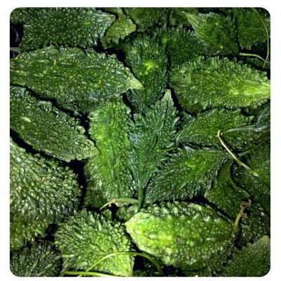 karola Online Delivery in Halisahar, Kanchrapara & Kalyani - Vegtoh