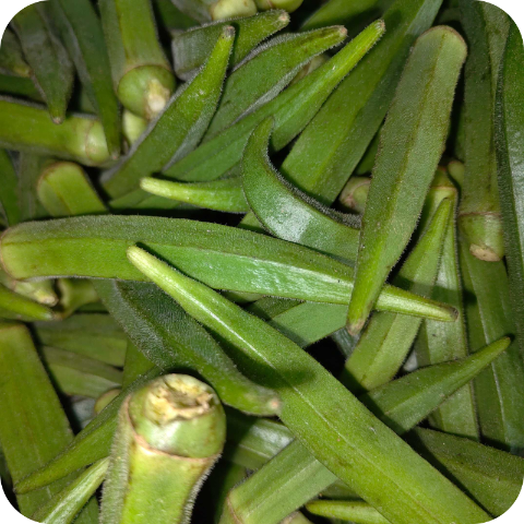 Vendi Online Delivery in Halisahar, Kanchrapara & Kalyani - Vegtoh