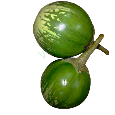 Makra begun Online Delivery in Halisahar, Kanchrapara & Kalyani - Vegtoh