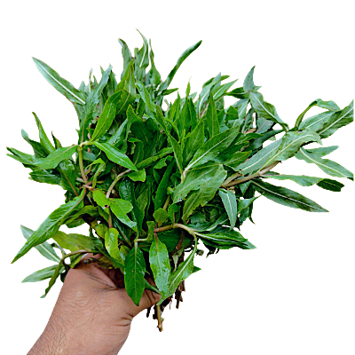 Kulekhara pata Online Delivery in Halisahar, Kanchrapara & Kalyani - Vegtoh