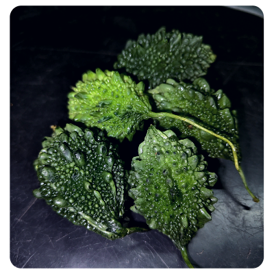 Fresh Ucche Online at Best Price - Vegtoh