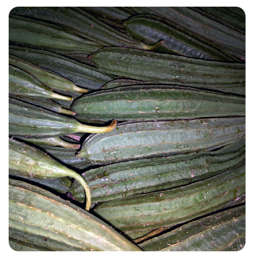 Fresh Jhinge Online at Best Price - Vegtoh