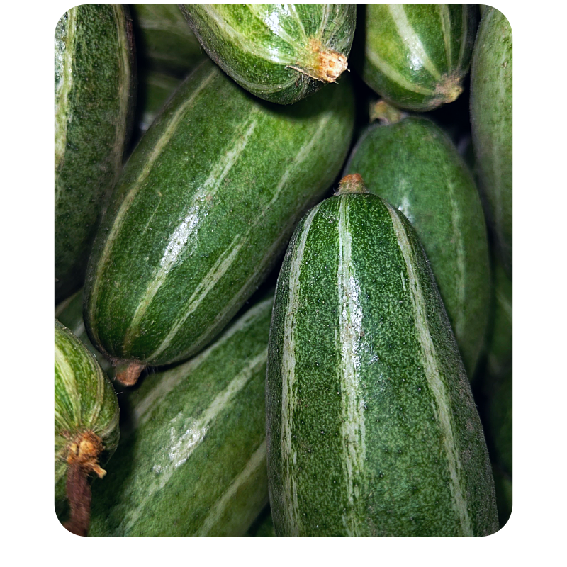 Hoibotkhali Patol Online Delivery in Halisahar, Kanchrapara & Kalyani - Vegtoh
