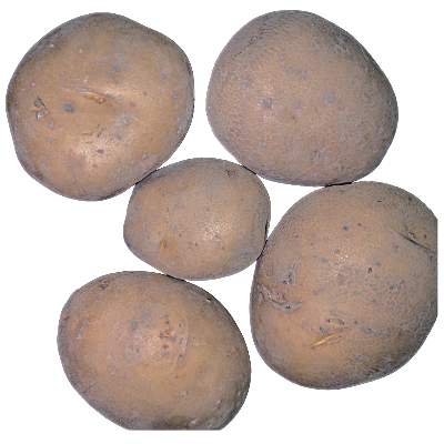 Chandramukhi aloo Online Delivery in Halisahar, Kanchrapara & Kalyani - Vegtoh