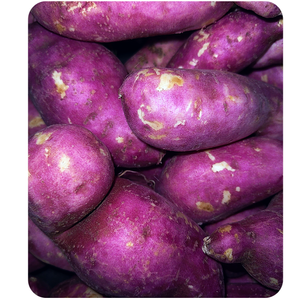 Misti aloo Online Delivery in Halisahar, Kanchrapara & Kalyani - Vegtoh