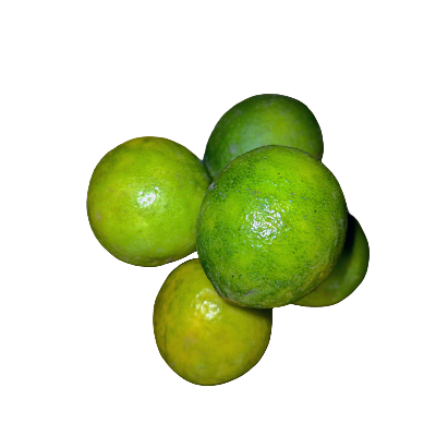 Fresh Pati lebu Online at Best Price - Vegtoh