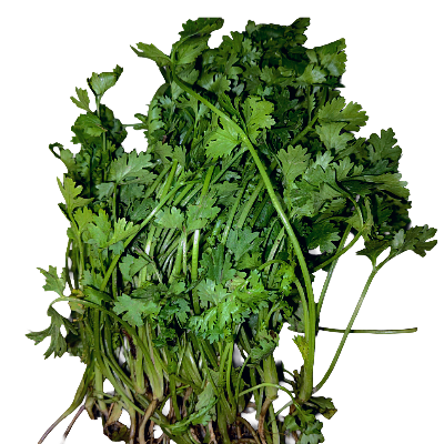 Dhonepata Online Delivery in Halisahar, Kanchrapara & Kalyani - Vegtoh
