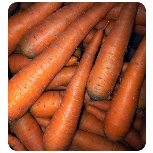 Gajor Online Delivery in Halisahar, Kanchrapara & Kalyani - Vegtoh