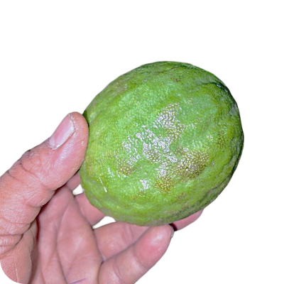 Fresh Gandhoraj lebu Online at Best Price - Vegtoh