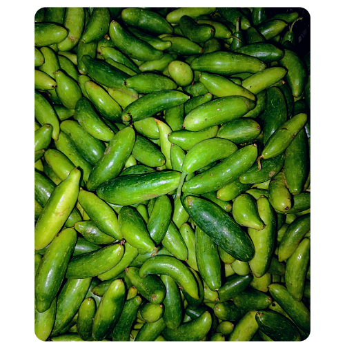 Kundri Online Delivery in Halisahar, Kanchrapara & Kalyani - Vegtoh