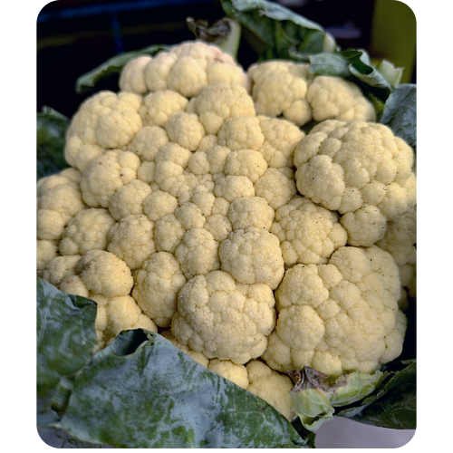 Chalani Fulkopi Online Delivery in Halisahar, Kanchrapara & Kalyani - Vegtoh