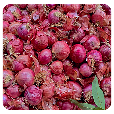 Purono piyaj Online Delivery in Halisahar, Kanchrapara & Kalyani - Vegtoh