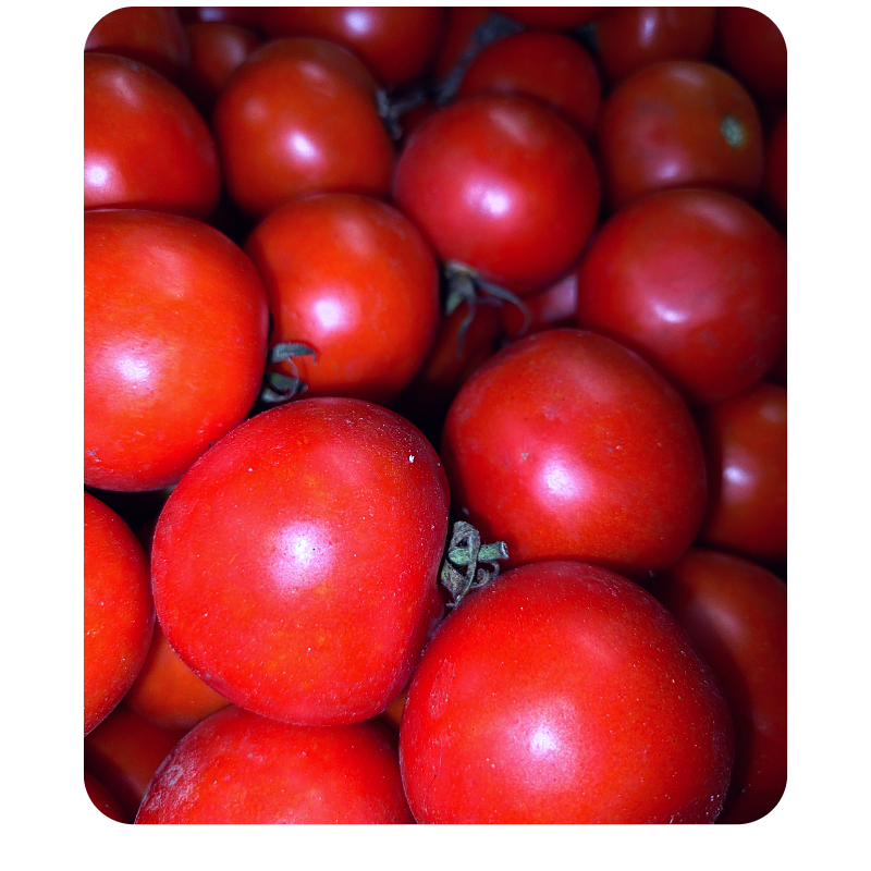 Fresh Tomato Online at Best Price - Vegtoh