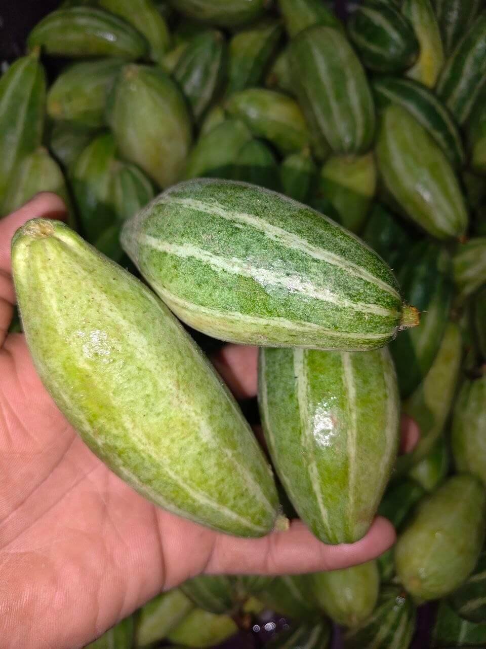 Fresh Hoibotkhali Patol Online at Best Price - Vegtoh